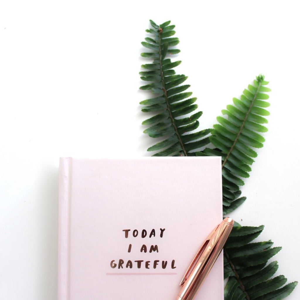 The Subtle Power of Mindfulness & Gratitude